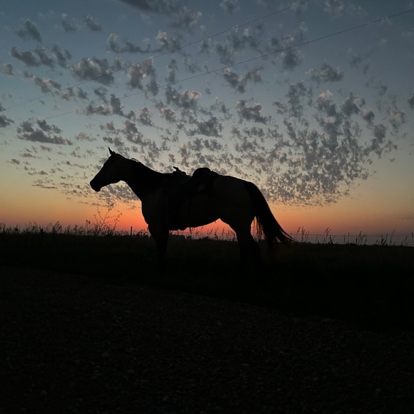 Meet your Posher, Erica - Picture 1 of 1